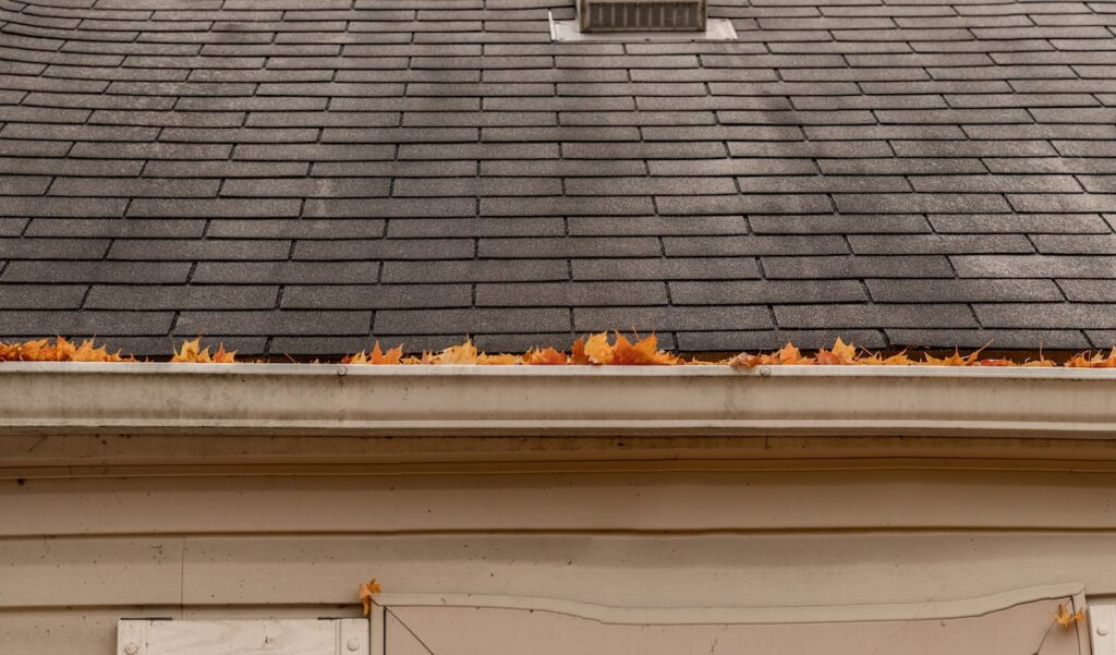 gutters are full of leaves and must be cleaned