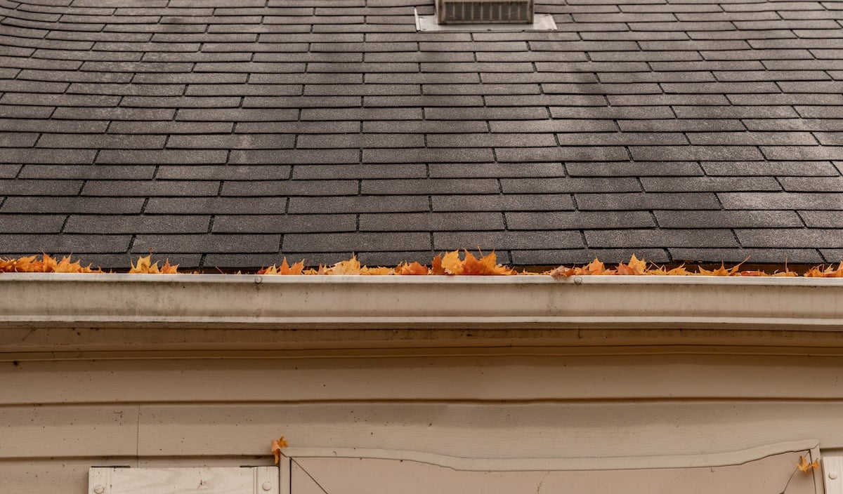 gutters are full of leaves and must be cleaned