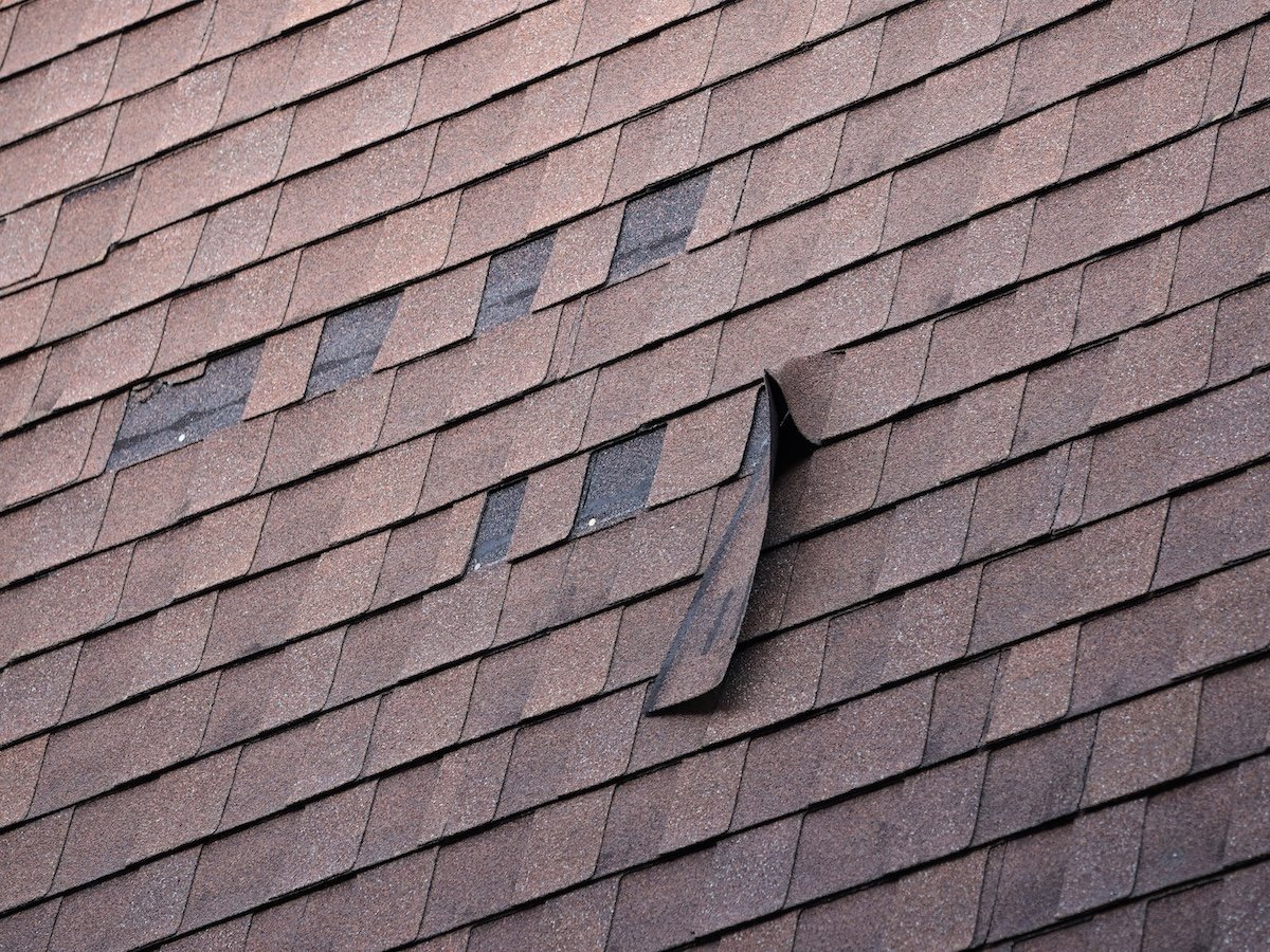 Torn Shingles and Missing Shingles