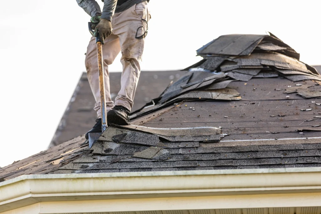 roofing contractor works on roof tear off for replacement